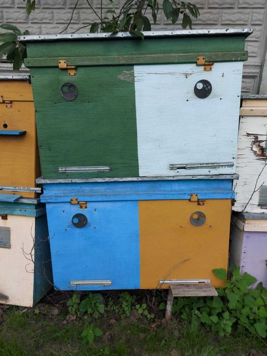 Продам вулики для бджіл. Торг