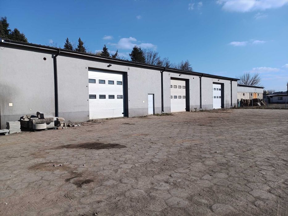 Hala, Magazyn do wynajęcia