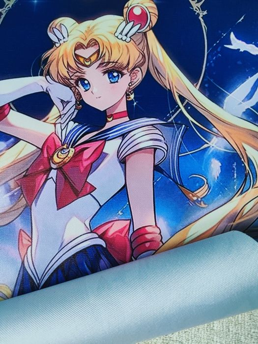 Sailor Moon - obraz plakat na płótnie 30x45.