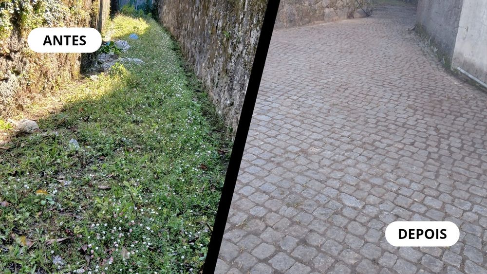 Serviços de Jardinagem e Limpeza de Terrenos