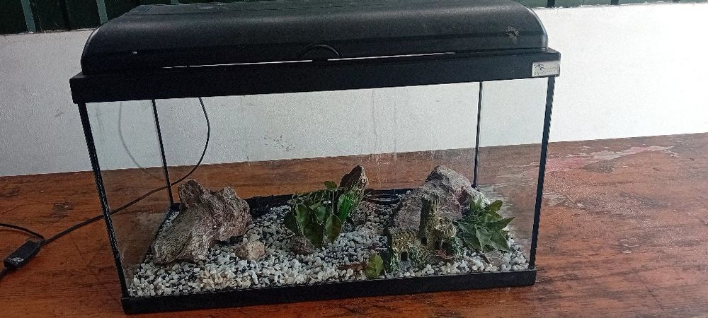 Aquário Aquatlantis 60 + oferta de acessórios