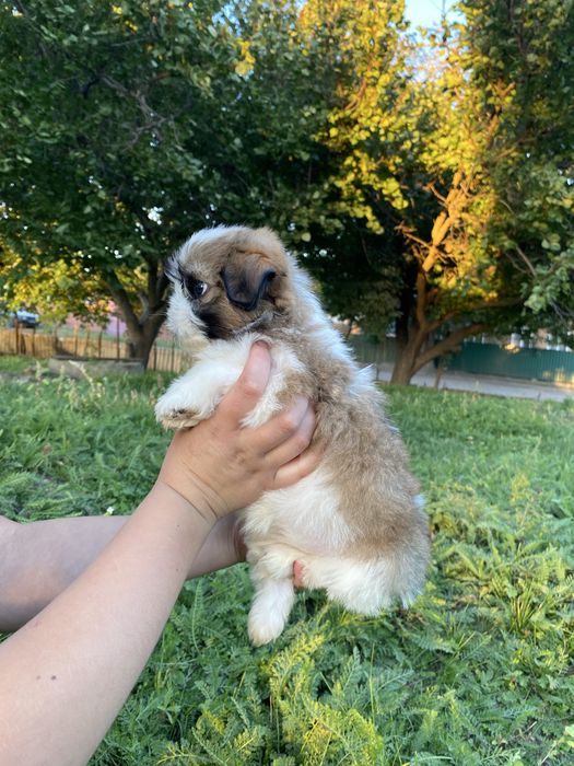 Неймовірно шикарний хлопчик