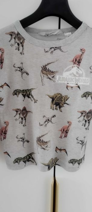 Piżama dla chłopca góra od piżamy dinozaury szara 110/116 H&M