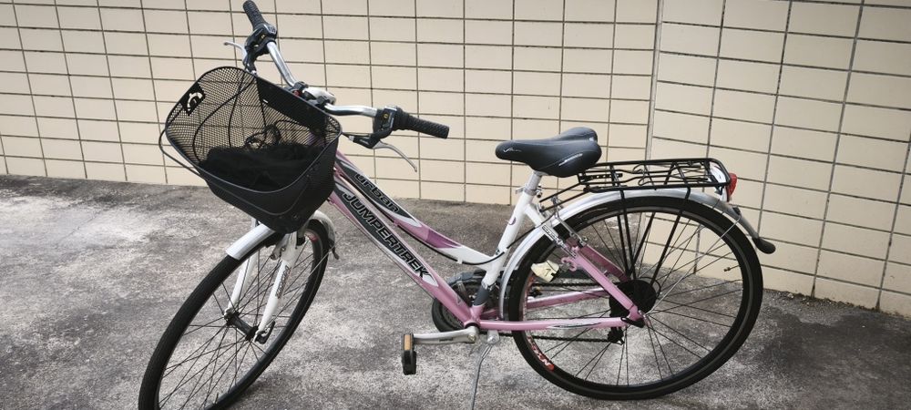 Bicicleta de Senhora Jumper Trek