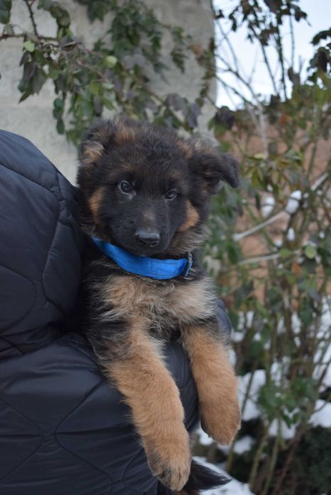 Готові до переїзду