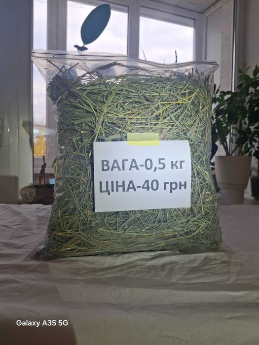Сіно запашне зелене для гризунів та тварин
