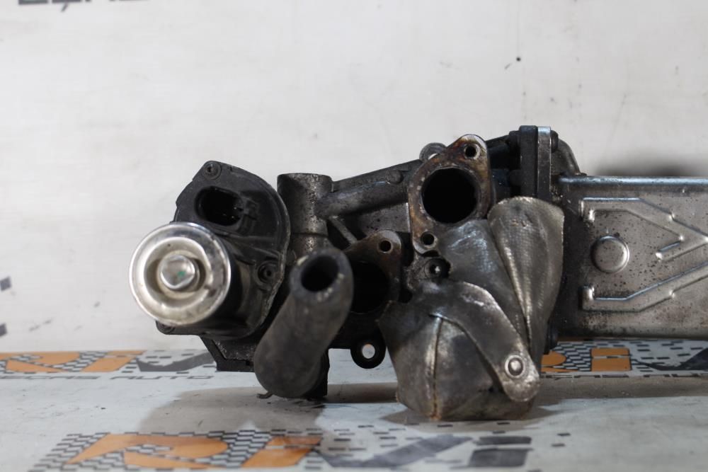 Radiador de gases / EGR SEAT Leon (1P1)