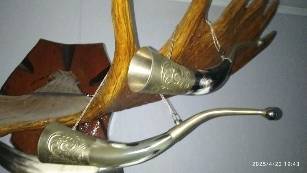 Чаша изобилия из рога