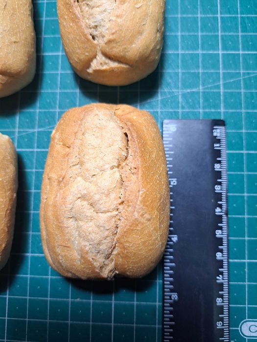 6 pães "petrificados" para decoração ou outra aplicação de bricolage