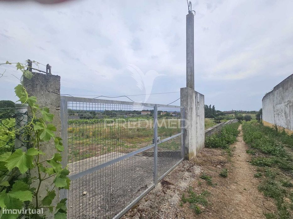 Terreno na entrada de Tomar com parcela urbana 1200m2