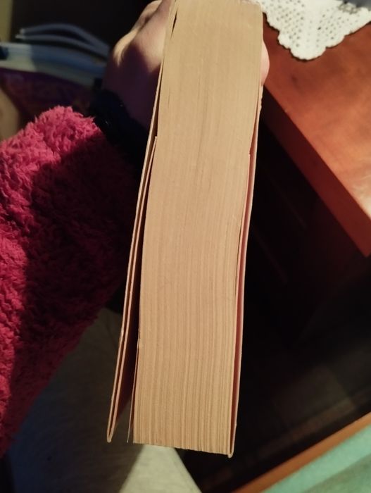 A rapariga que roubava livros, Markus Zusak