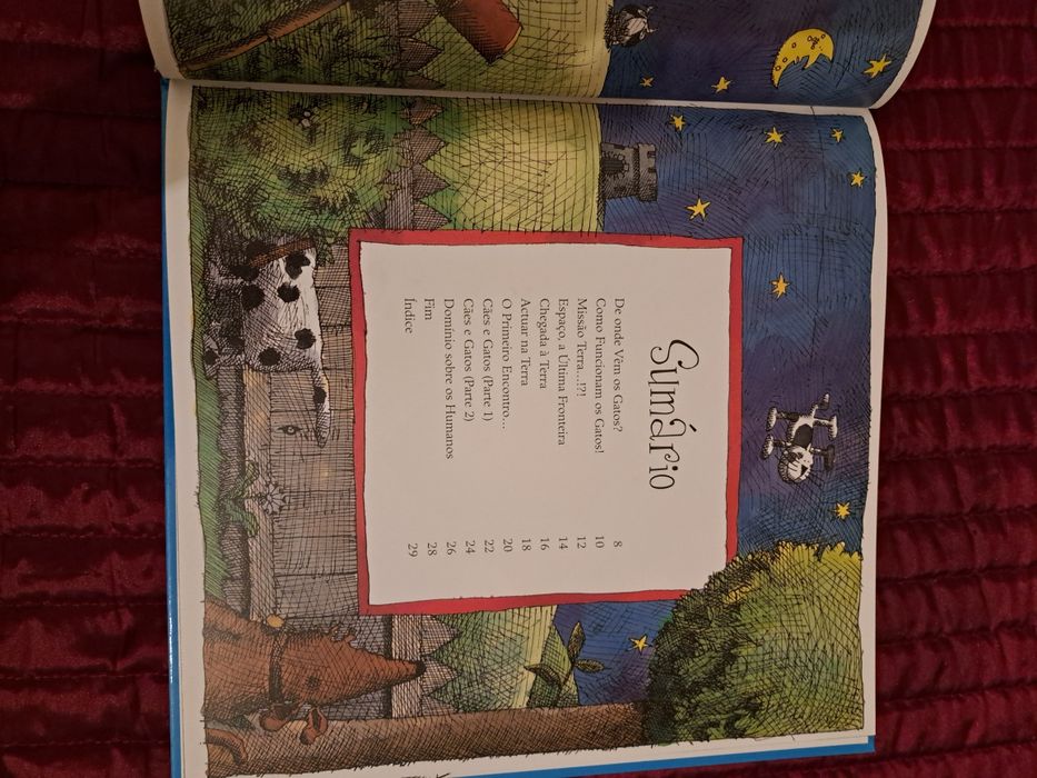 Livro infantil - Como Funcionam os Gatos!