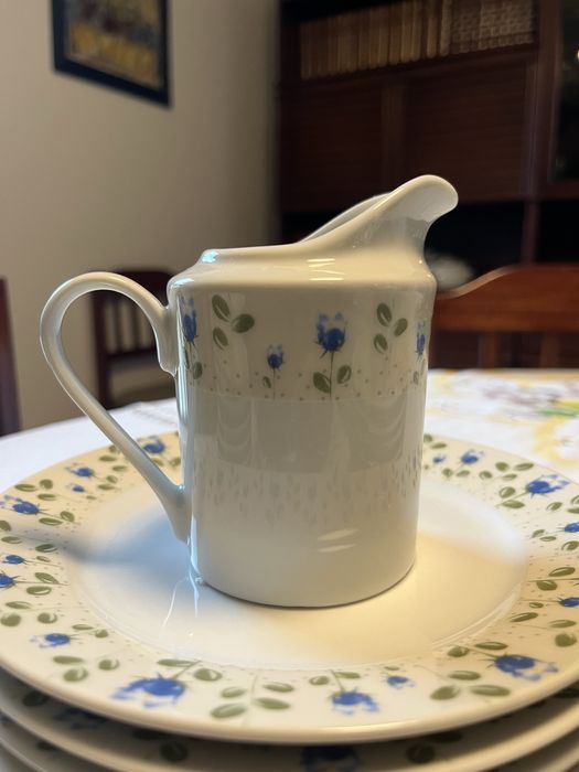 Conjunto de pratos para 6 pessoas