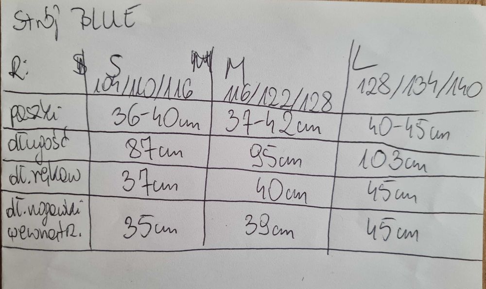 Strój bluey S 104-116