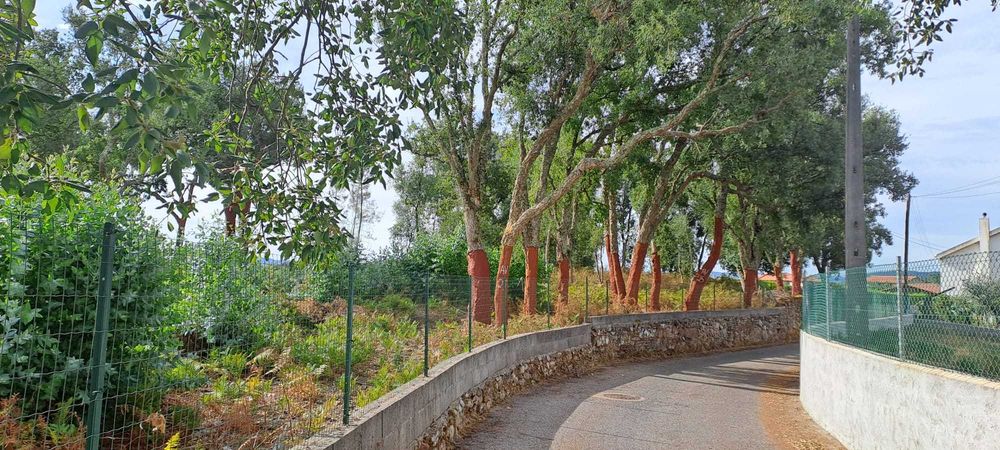 Quinta com 10 hectares, Cernache do Bonjardim, no Centro de Portugal.