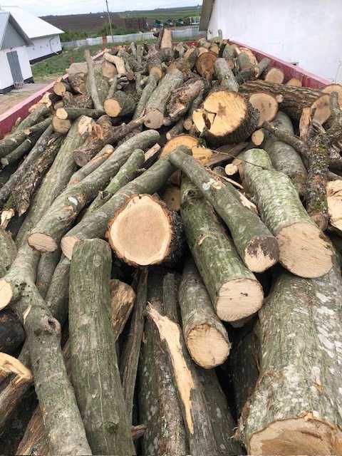 Дрова м'ягкої та твердої порід. Щепа паливна. Розліснення