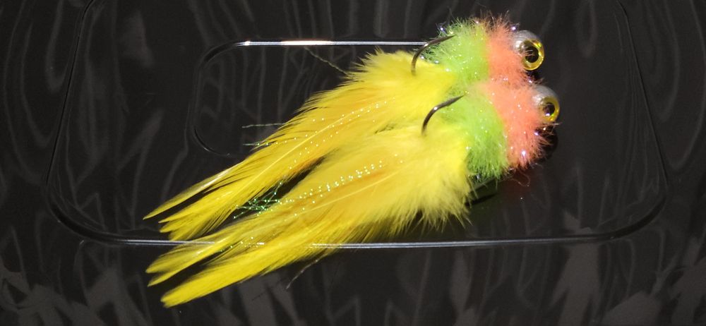 Koguty Sandaczowe Ł.W.Kocury