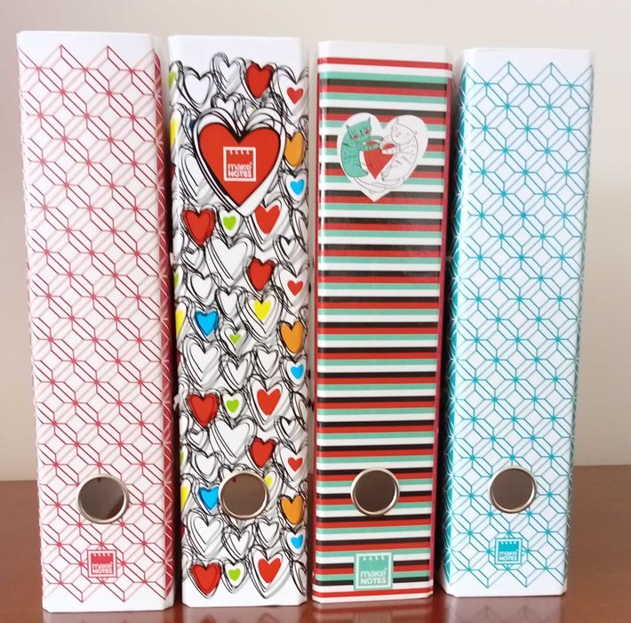 6 Pastas novas com argolas lombada estreita e larga  paga só 4€