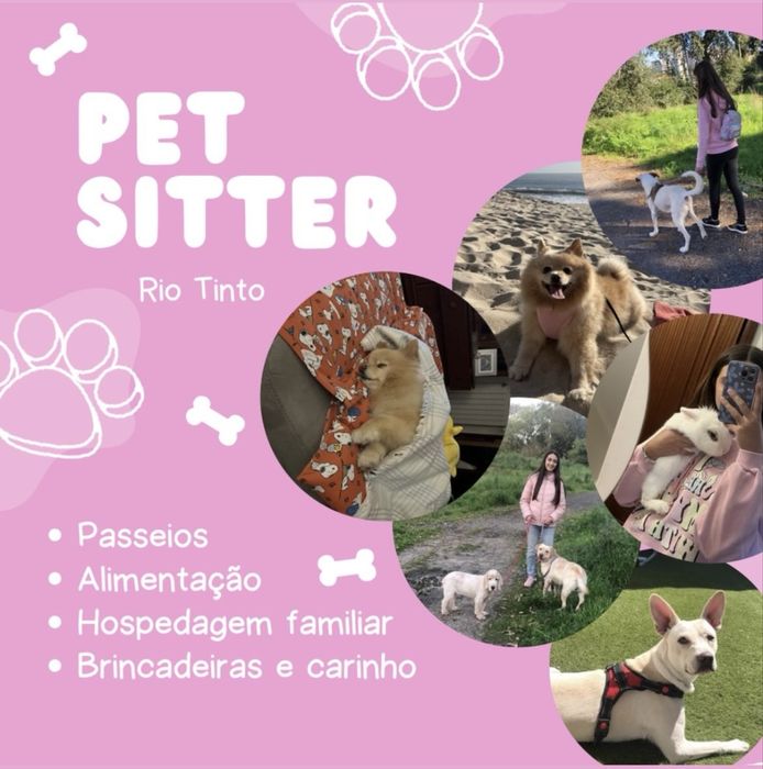 Petsitter rio tinto, porto