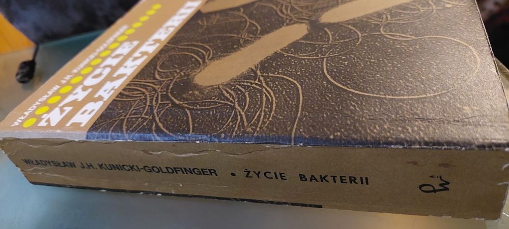 Życie bakterii Kucnicki-Goldfinger  bd stanie