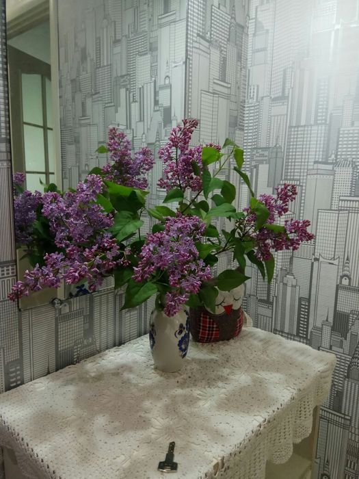 Фіскальний чек.Почасово,посуточно 1-2 х комн.квартира в центре.