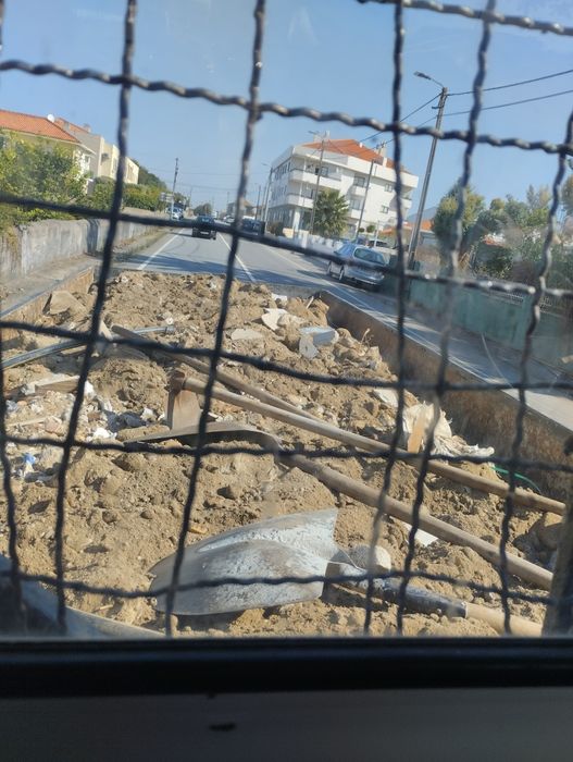 Faço tudo tipo de limpeza entulho, jardins, e terrenos...