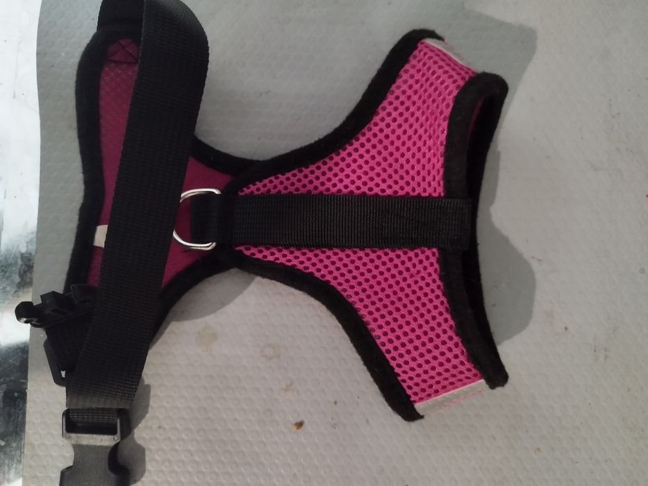 Шлейка для собаки до 8 кг