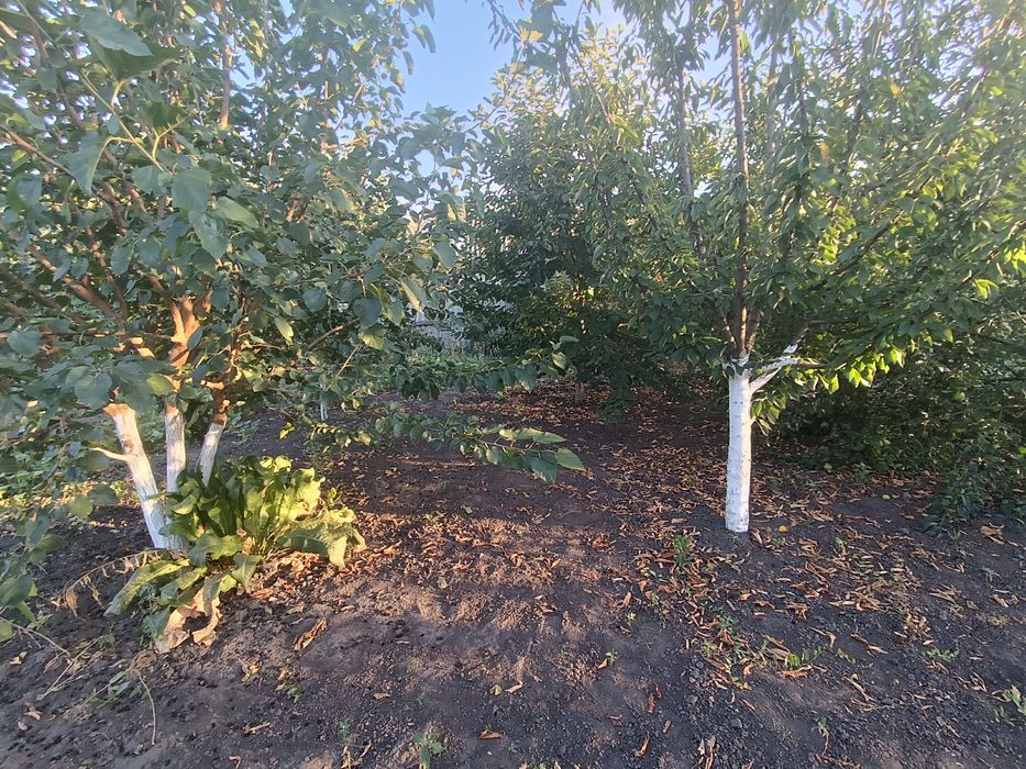 Земельна ділянка