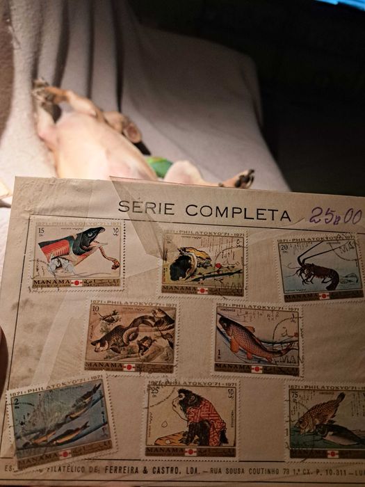 Colecção selos novos