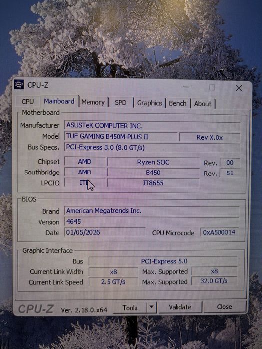 Ryzen 5 5500 Asus TUF B450M Plus II