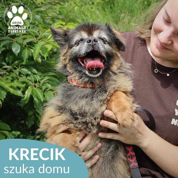Krecik szuka domu!