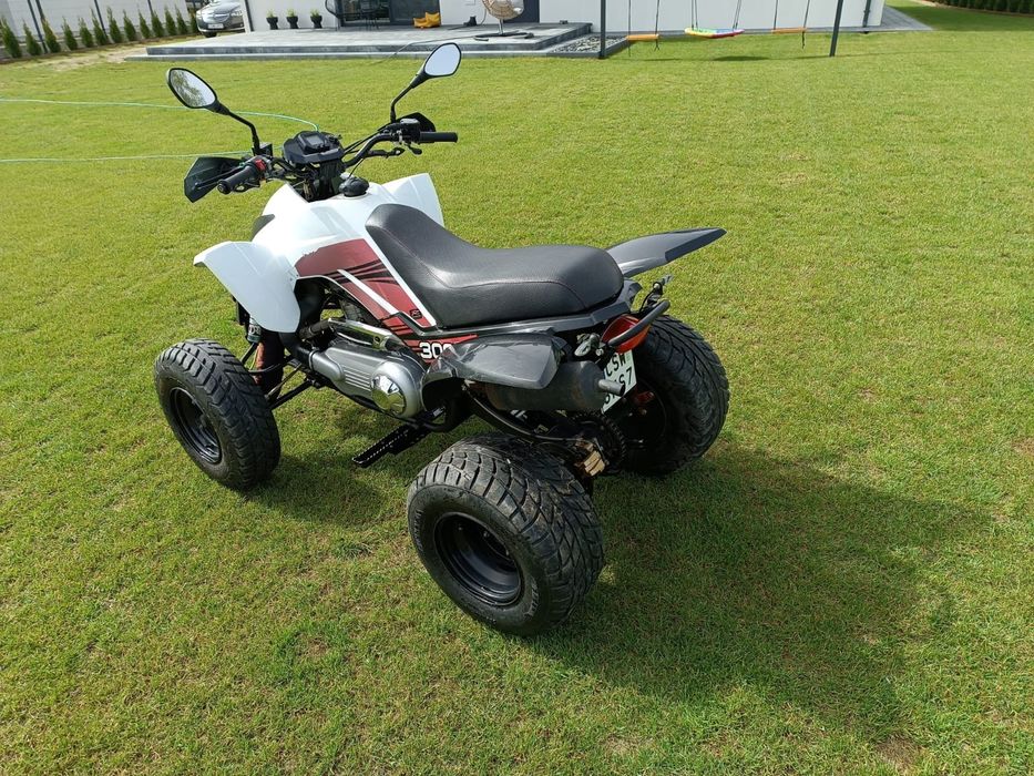 Quad Dinli Dl 801-300 2013