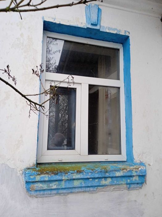 Продам будинок і земельну ділянку у с.Троковичі (16 км від Житомира).