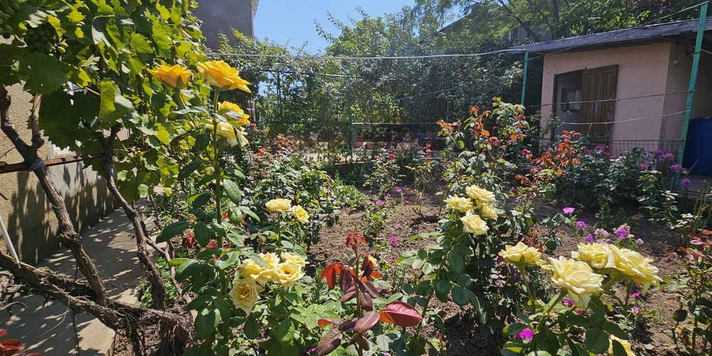 каролино-бугаз.продажа дома
