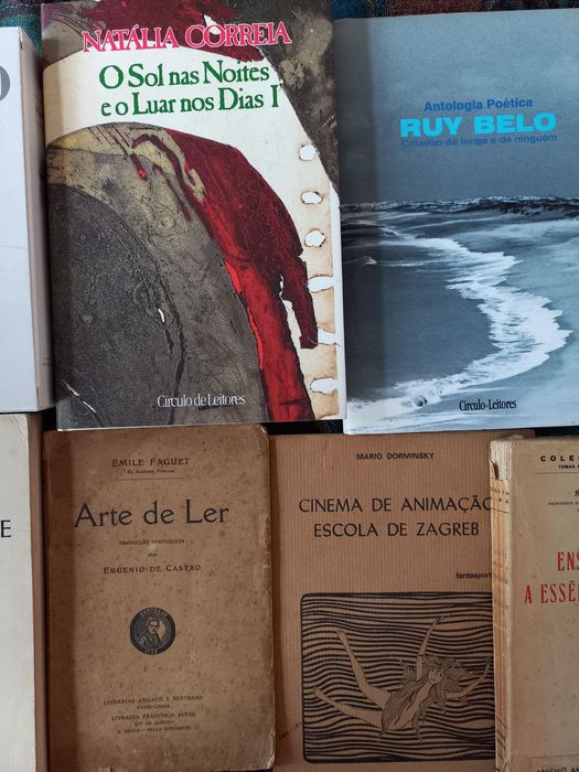 Lote Livros Poesia Filosofia Romance