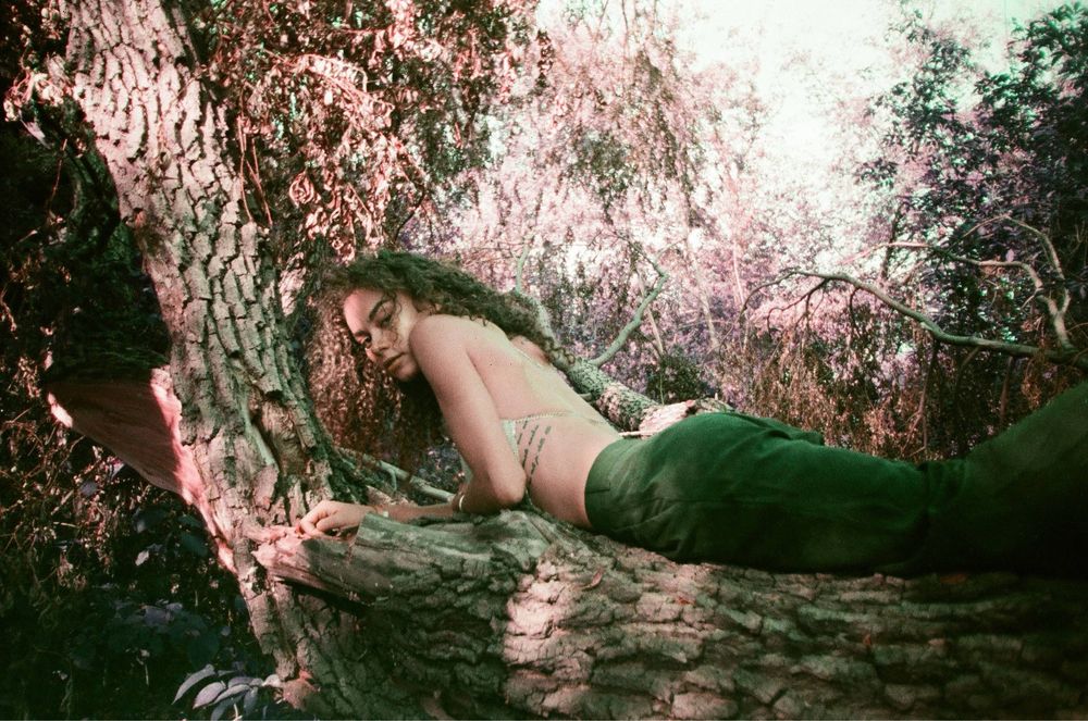 Плівкова камера Skina SK-666