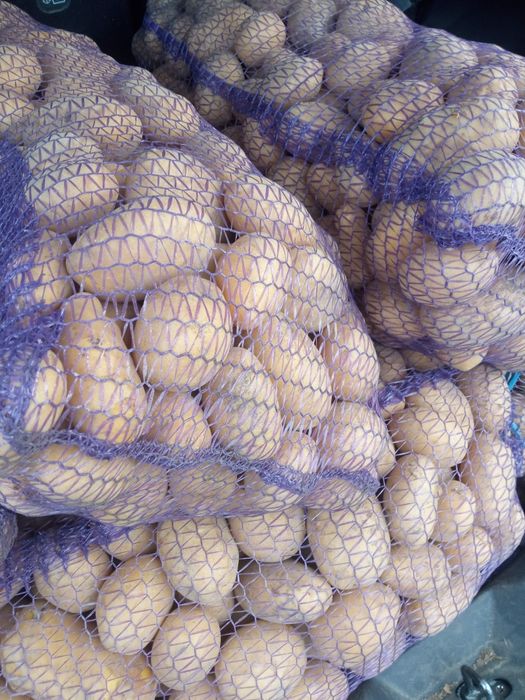 Продам дуже смачну картоплю
