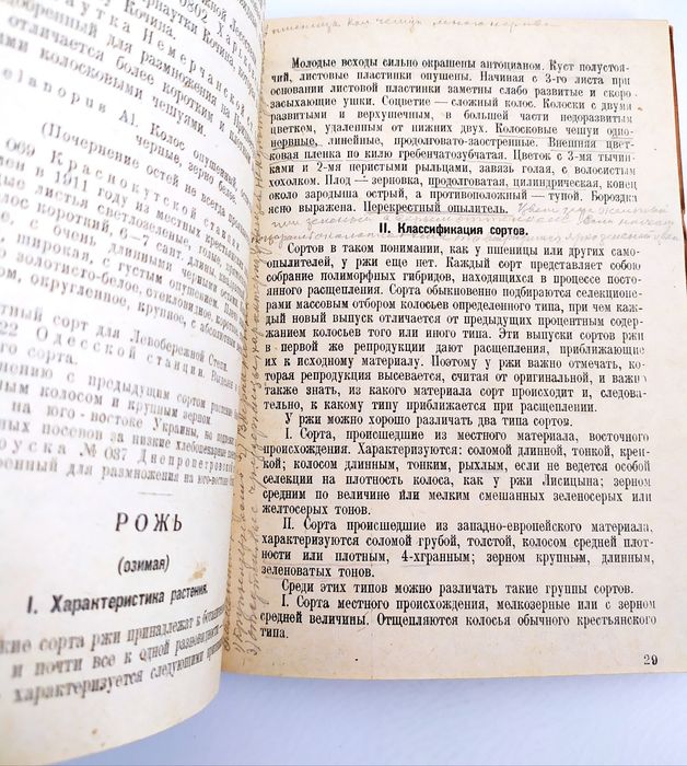 1930 г. ПШЕНИЦА Рожь Кукуруза Полевой определитель сортов аграрных
