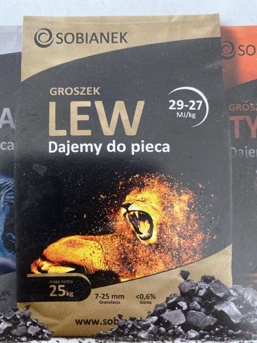 Groszek Sobianek Lew
