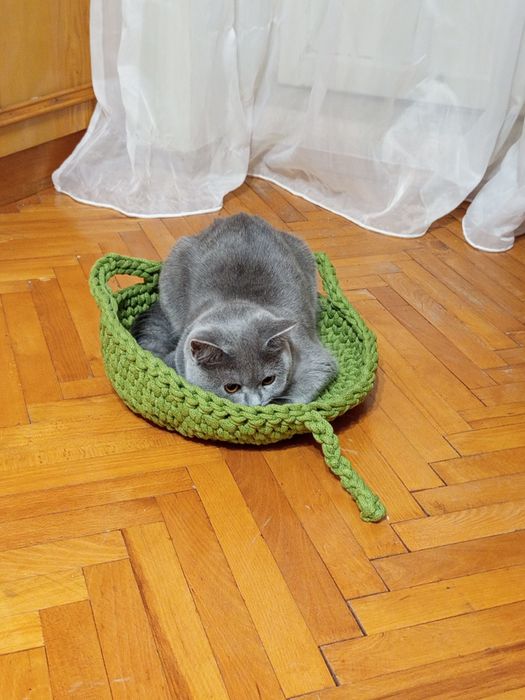 Лежак для котика