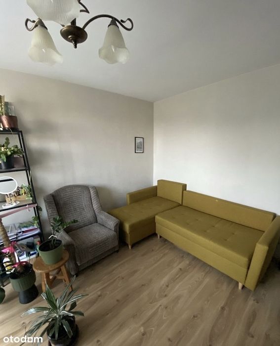 3-pokojowe mieszkanie w centrum miasta 47,80 m² 2piętro. Bezpośrednio - Widok 4