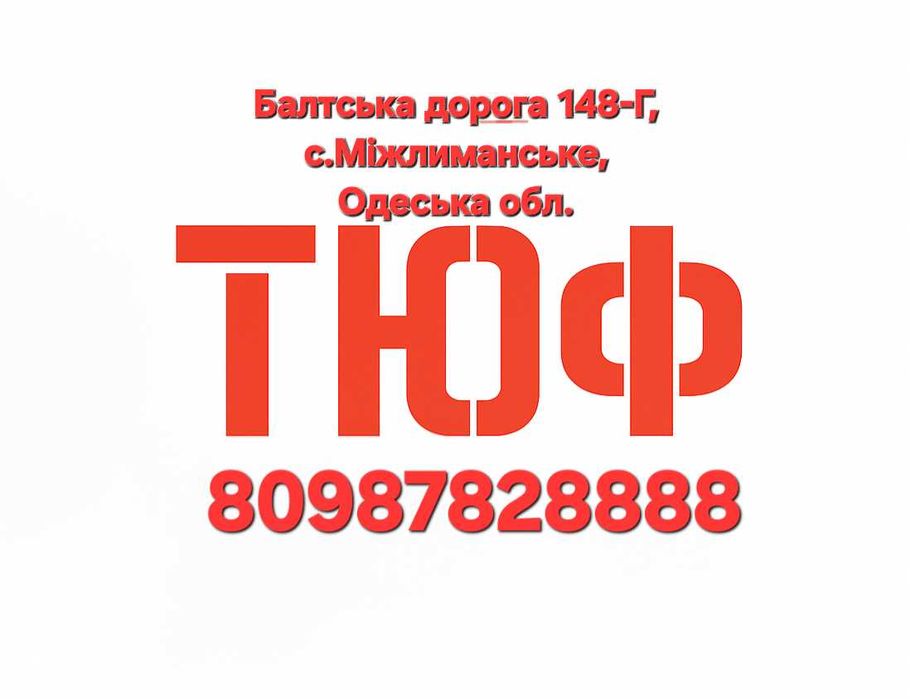 ЄКМТ Міжнародний техогляд