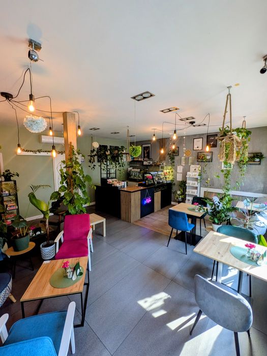 Kawiarnia (gotowy biznes)