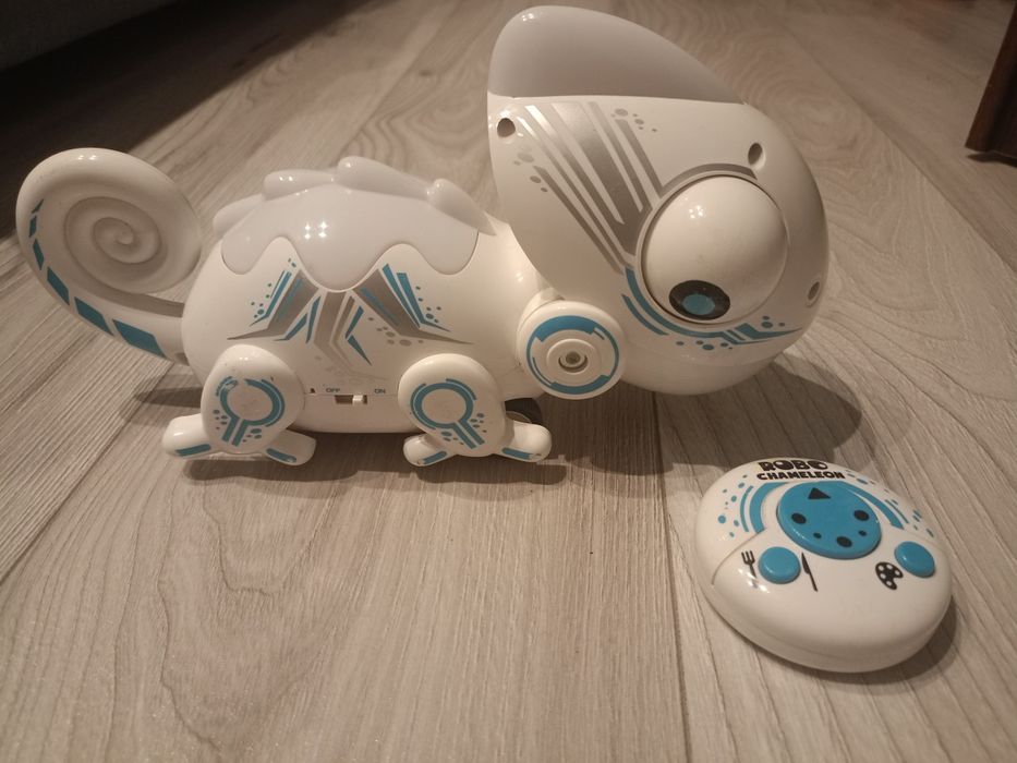 Kameleon na pilot