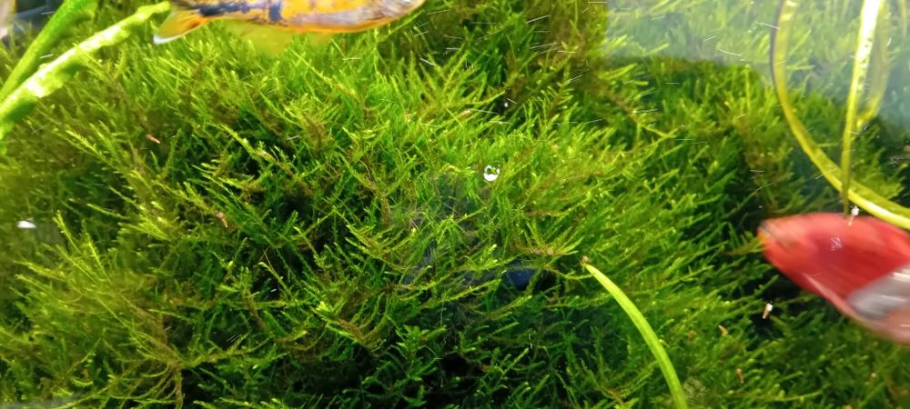 Akwarium  cały zestaw gotowe