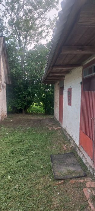 Будинок з ділянкою 60 соток