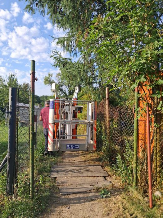 Przycinanie , Usuwanie , Pielęgnacja DRZEW i krzewów