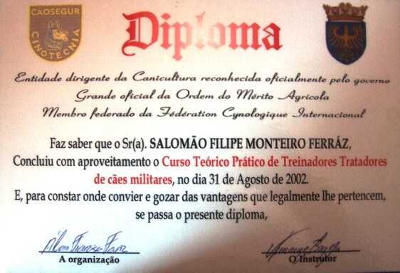 treino de cães porto