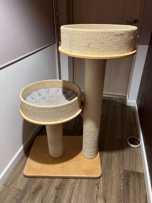 Rufi ex-1 drapak dla kota