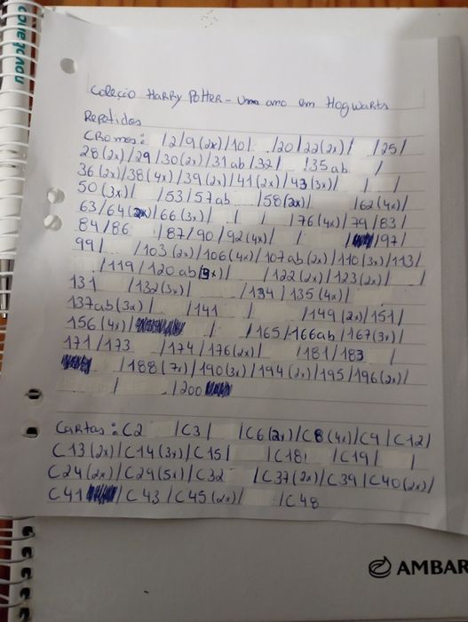 Coleção Harry Potter - Um ano em Hogwarts